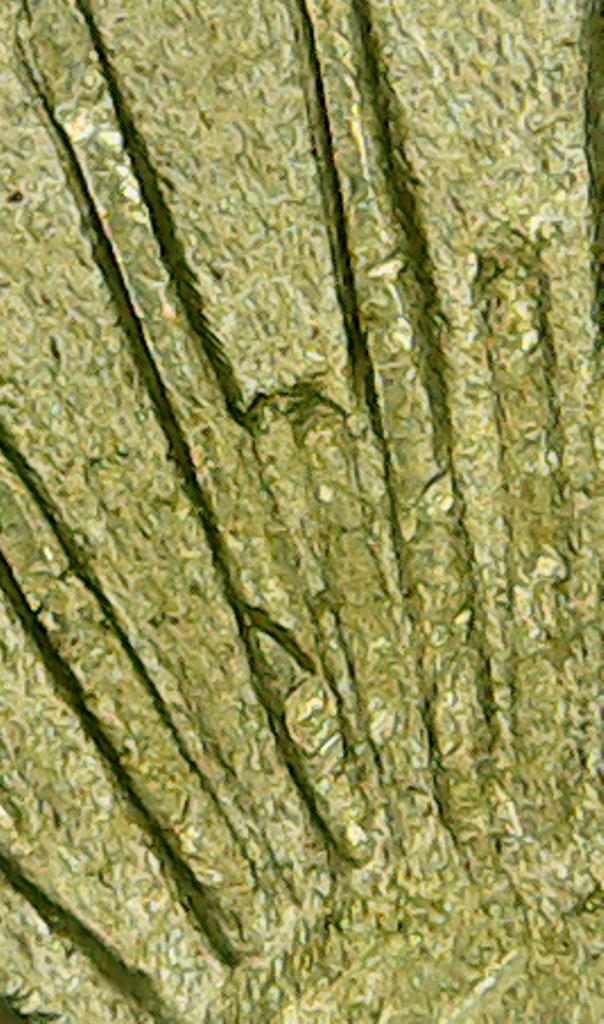 1923-US-Peace-Dollar-DDO!?